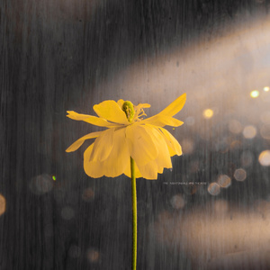 名优馆成人抖音
